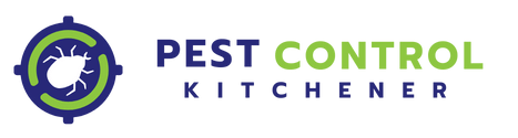 Pest Control Kitchener